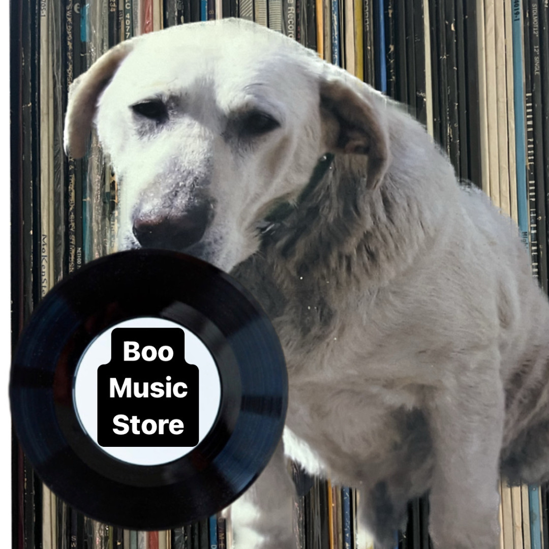 Stream boo.music_store music | Listen to songs, albums