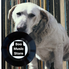 洋楽 BOO BOO/S.P.L.A.S.H. Amazon.co.jp: Splash: ミュージック
