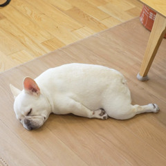黃千綾