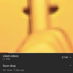 L1