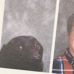 coodboii