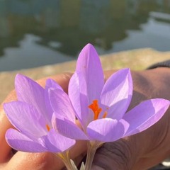 Md Thuhin Ahamed