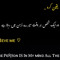 User 273057361