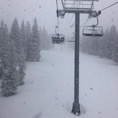 Snowedin