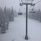 Snowedin