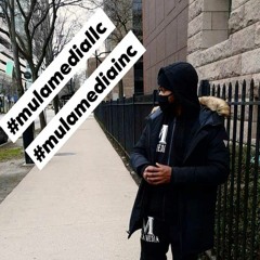 mulamediaLLC