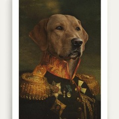 ---𝕯𝖔𝖜𝖆𝖌𝖊𝕽---