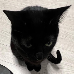 김민제