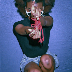NASTY CAT