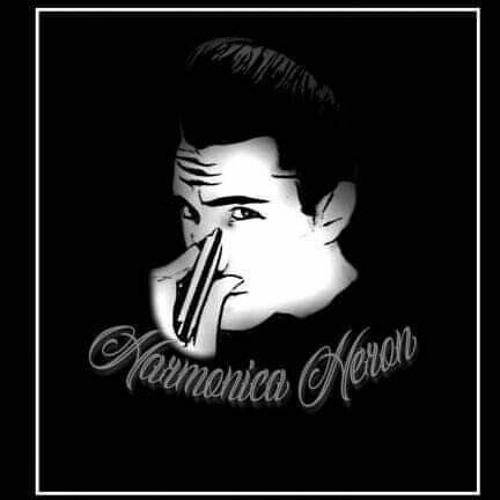 Harmonica_Heron’s avatar