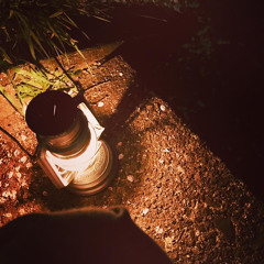 ﾗﾋﾞｯﾄﾌｧｰﾑ