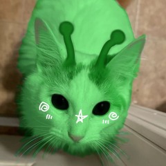 vyyyzer:3