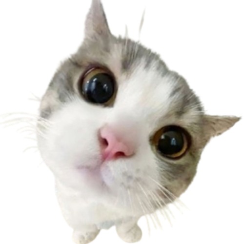 you havent changed a bit