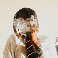 Rocko Tesla (@rocko.tesla)