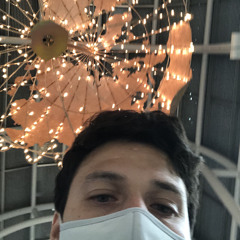 lambarca19