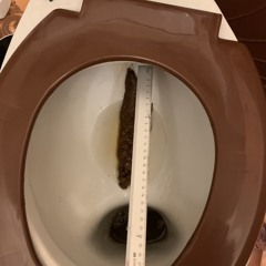 слякоть