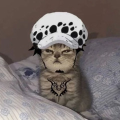 star onfroy