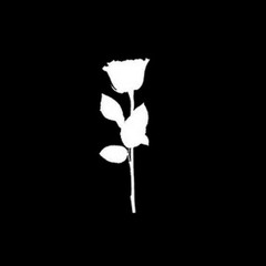 JNK
