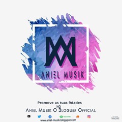 Aniel1Musik