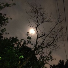 qiy