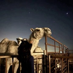 مَــــــــــــــوْج