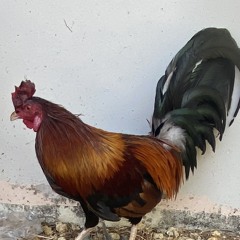 😮‍💨😮‍💨