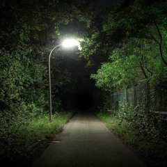 BlackLeopard |[●▪▪●]|