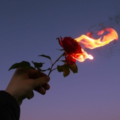 When Roses Burn