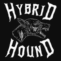 Hybrid Hound