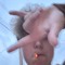 st1llteen