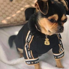 Drippy the Dog 💲🐶💲