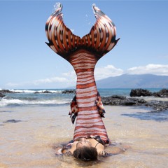 Aisha the Mermaid