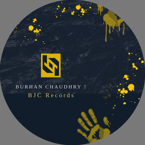 Burhan Chaudhry 𓅓 — artist photo