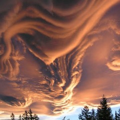 Cumulus303