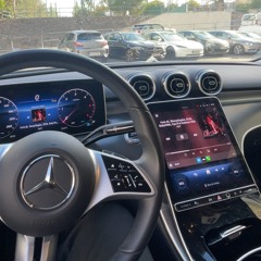 Kalaharie x cys b “Chrome Heart”