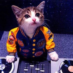 Spotnickdacat