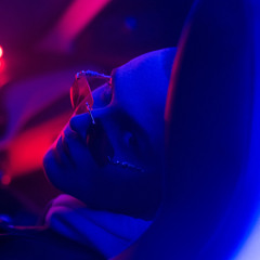 Jay Tiger