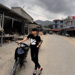 Vi Quốc Việt