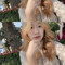 Diệu Linhh