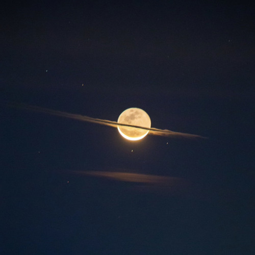 Stream Úlfr music Listen to songs, albums, playlists for free on