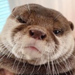Guilty Otter Productions