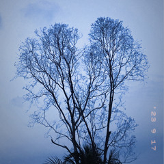 Anh Tuan
