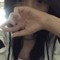 Erlyn