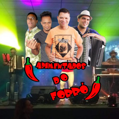 Apimentados do forró original