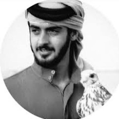 Hamed Alsaedi