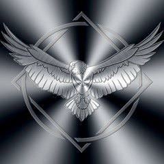 Wing & The Flight Risks