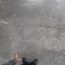 igrinded