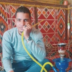 Mohamed El-hawary