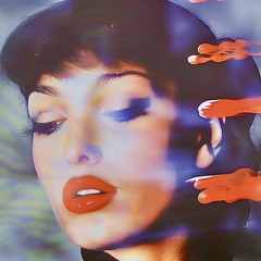 Blackbird