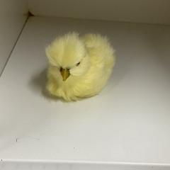 みん
